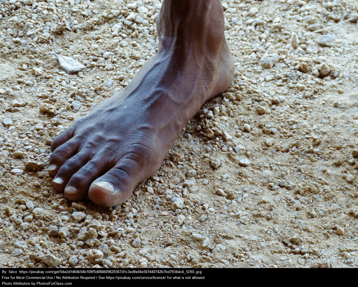 Let’s embrace traditional knowledges for climate and social&nbsp;justice